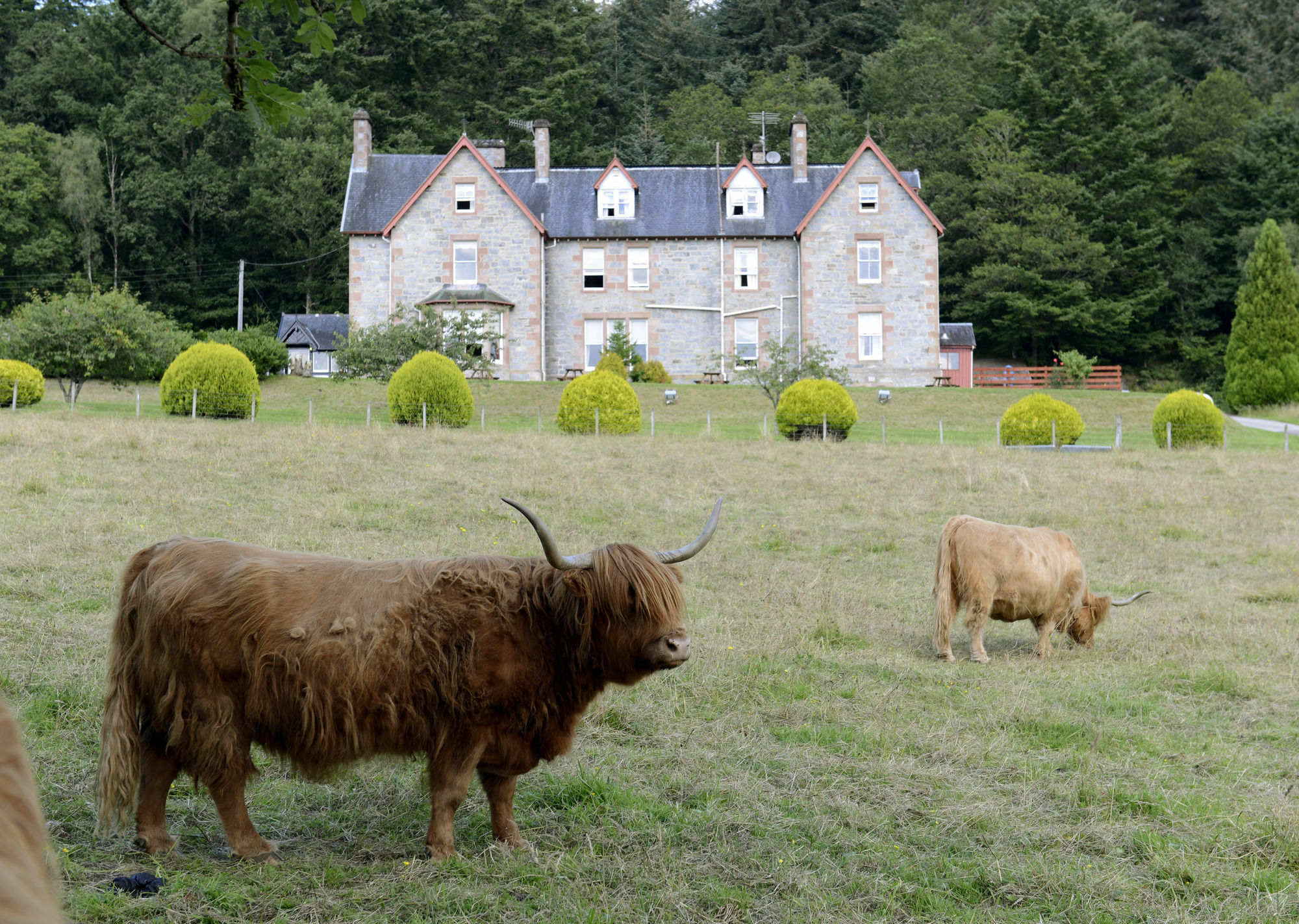 Inch Hotel Fort Augustus Eksteriør bilde